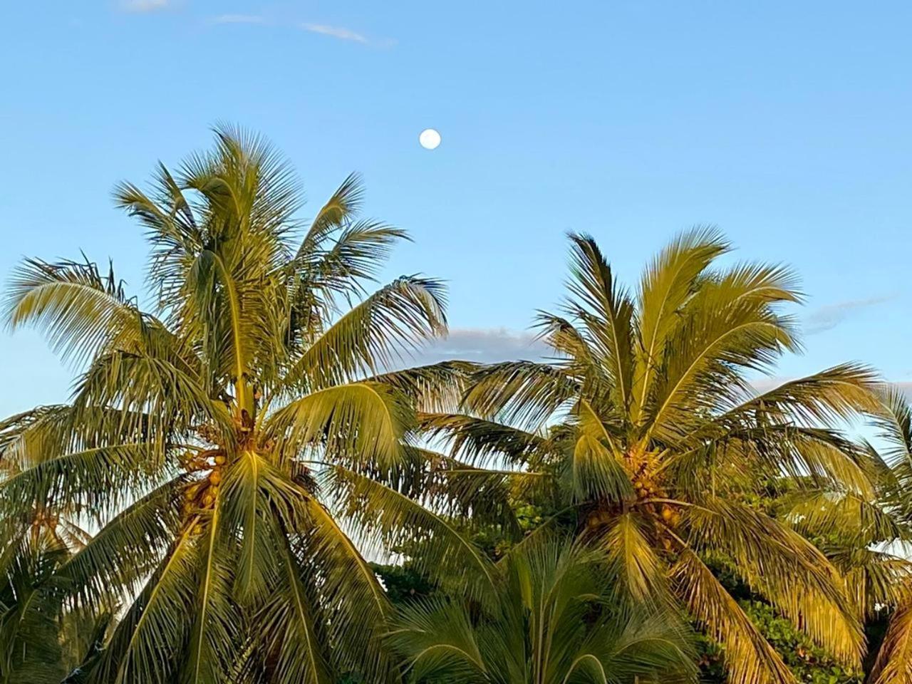 Sasagara Beach Villa Tangalle Kültér fotó
